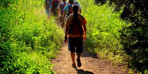 New Health Walk in Lymington